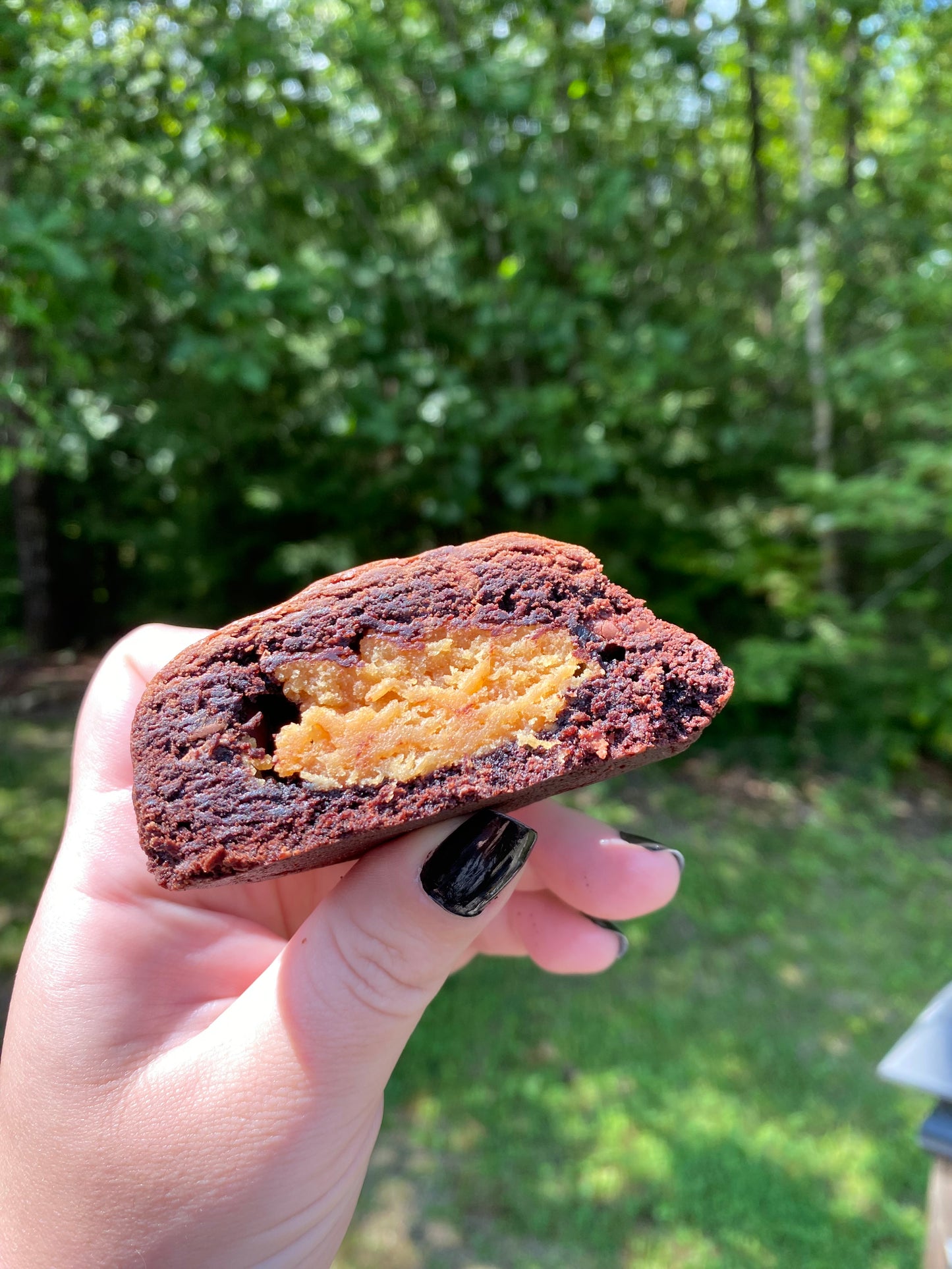 Dark Chocolate Peanut Butter Stuffed Cookie